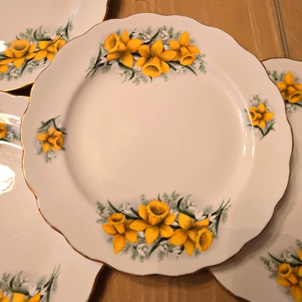 Vintage Set of Six Gold Edged, Stafford, Bone China 8" Plates, Daffodils